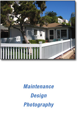 Real Estate Services